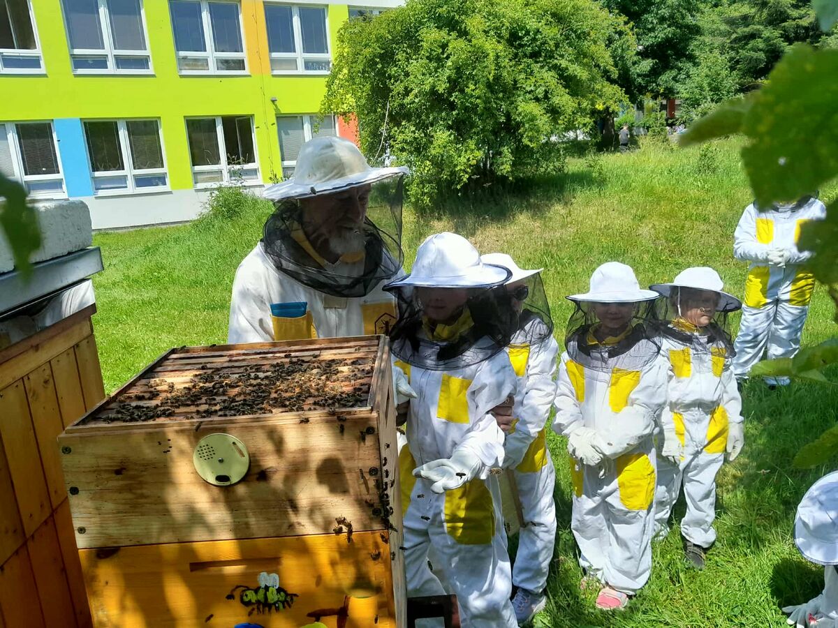 ZAKONČENÍ VČELAŘSKÉHO KROUŽKU