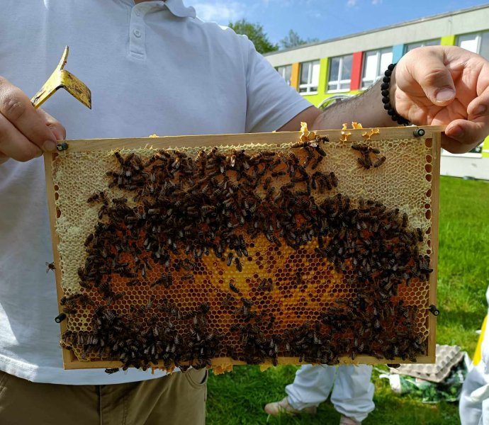 VČELAŘSKÝ KROUŽEK - těšíme se na med