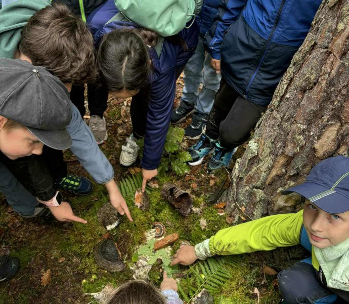 Obrázek galerie 17435