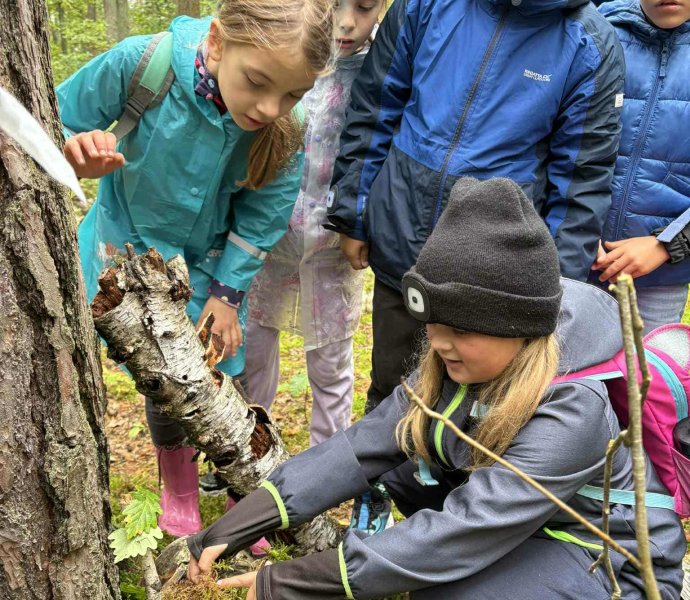 Obrázek galerie 17444