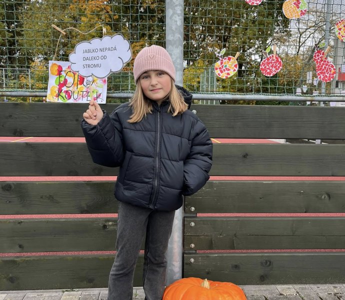 Obrázek galerie 17900