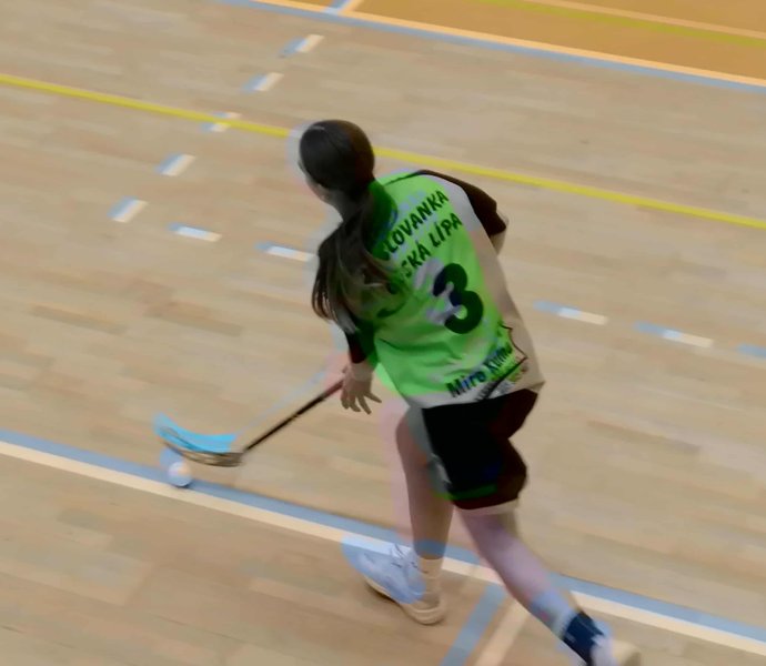 Obrázek galerie 17975