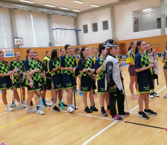 Obrázek galerie 17991