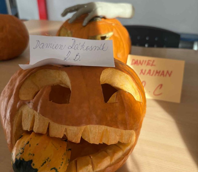 Obrázek galerie 18190