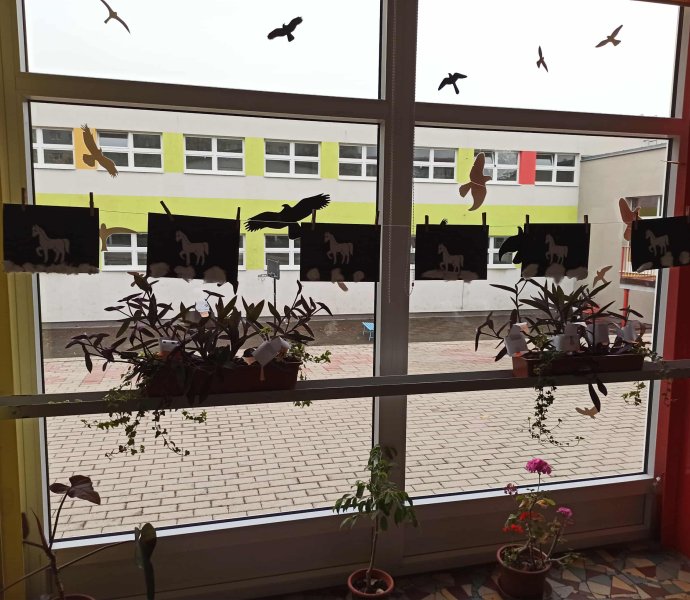 Obrázek galerie 18392