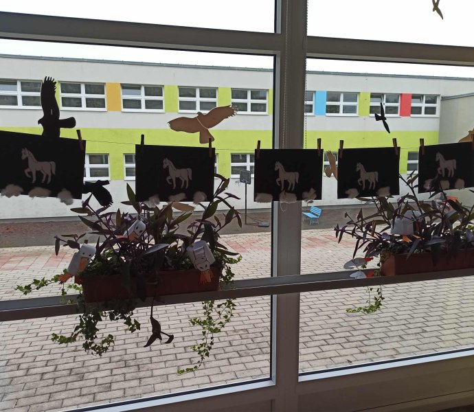 Obrázek galerie 18414