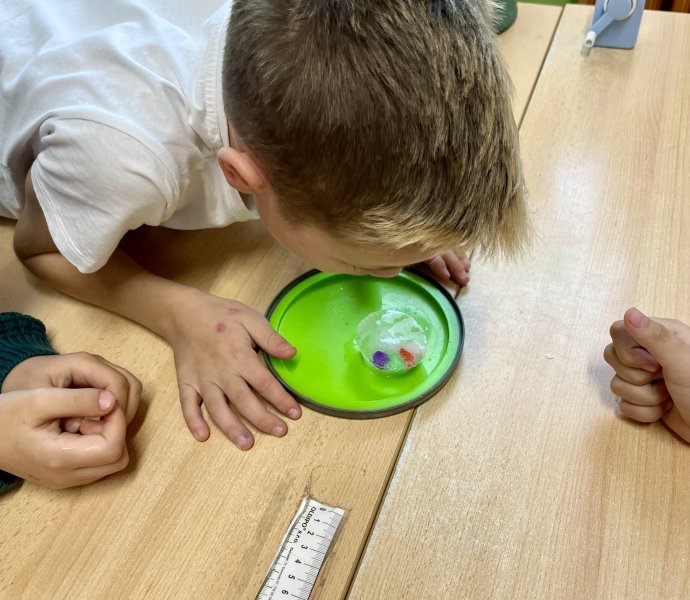 Obrázek galerie 18461