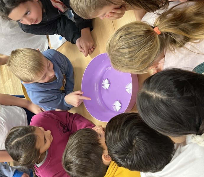 Obrázek galerie 18463