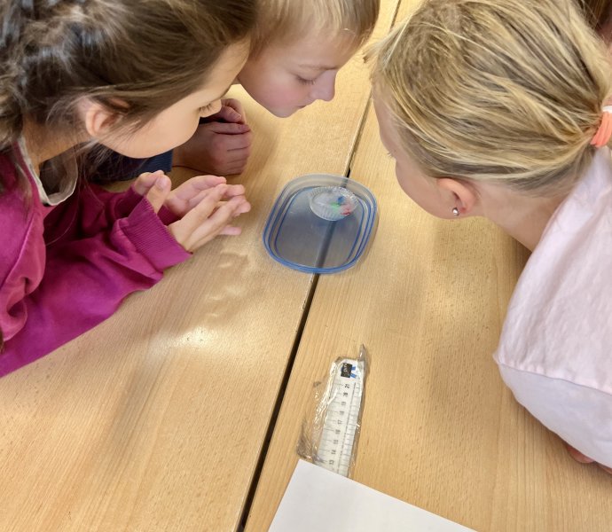 Obrázek galerie 18464