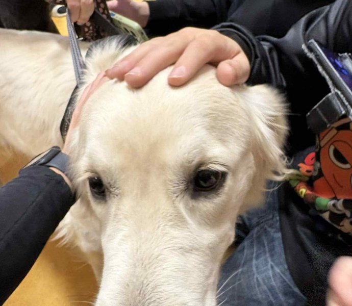 Obrázek galerie 18485