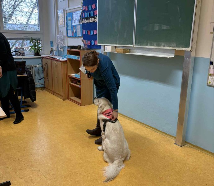 Obrázek galerie 18486