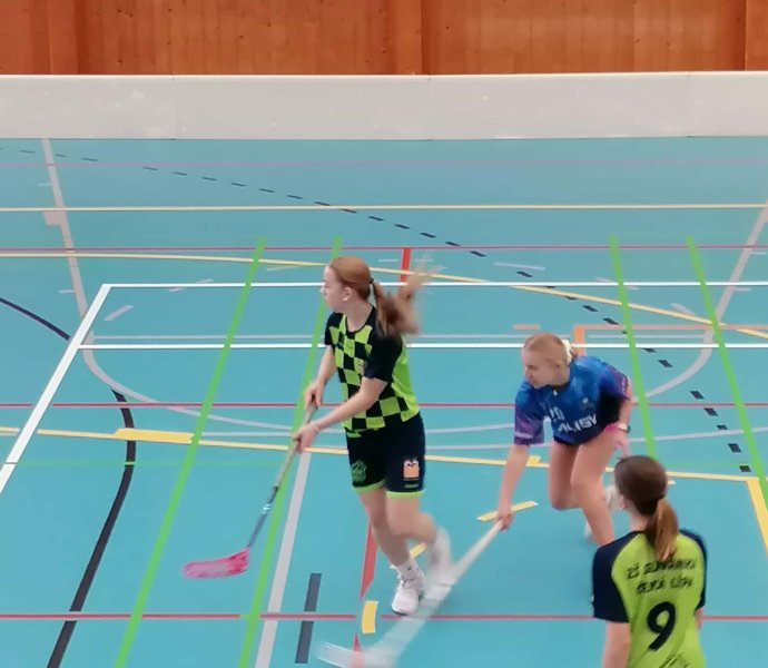 Obrázek galerie  18530