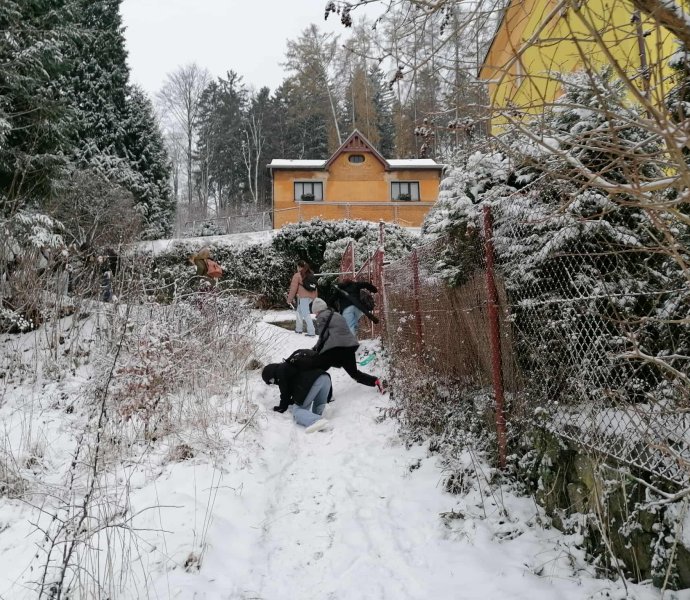 Obrázek galerie  18531