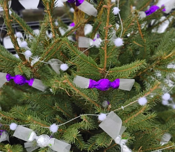 Obrázek galerie 18656