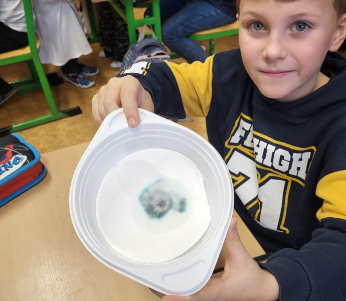 Obrázek galerie 18701