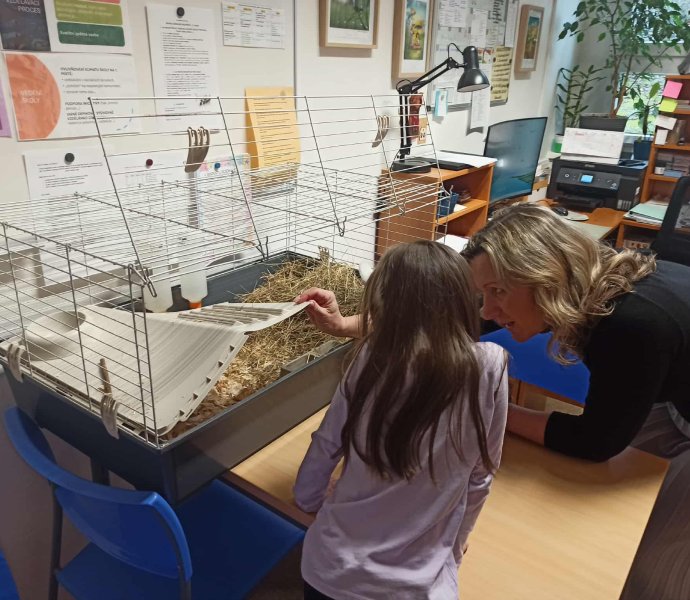 Obrázek galerie 18750