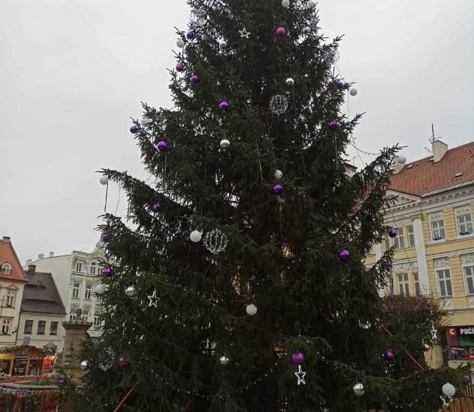 Obrázek galerie 18857