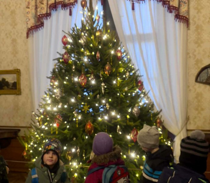 Obrázek galerie 18947