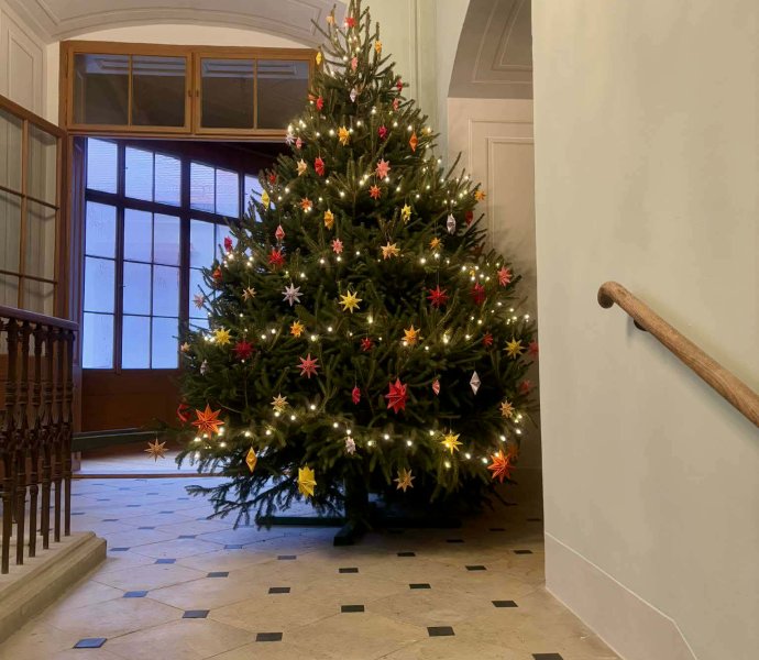 Obrázek galerie 18950