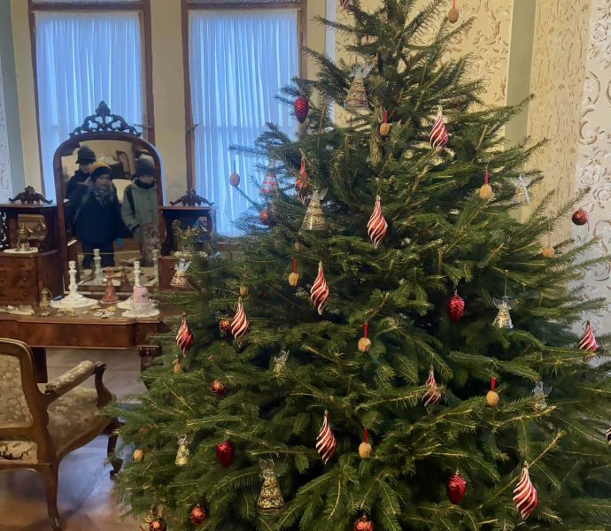 Obrázek galerie 18956