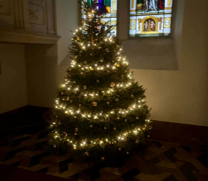 Obrázek galerie 18971