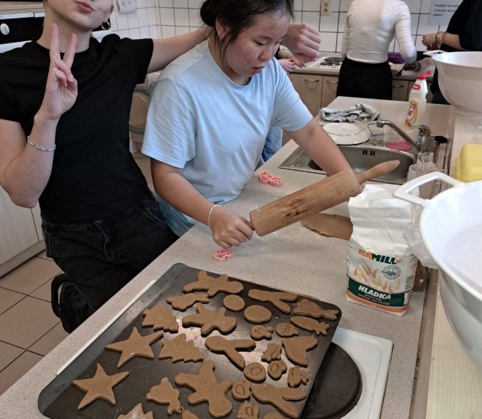 Obrázek galerie 19101