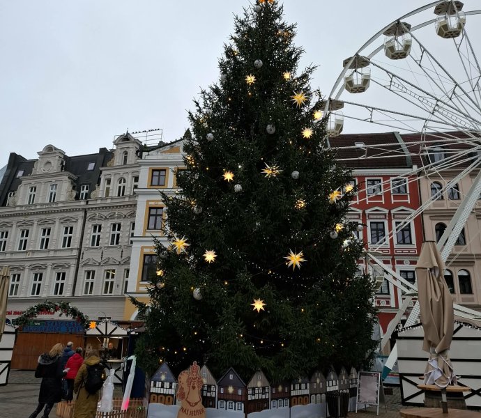 Obrázek galerie 19218