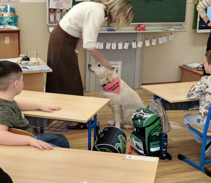 Obrázek galerie 19980