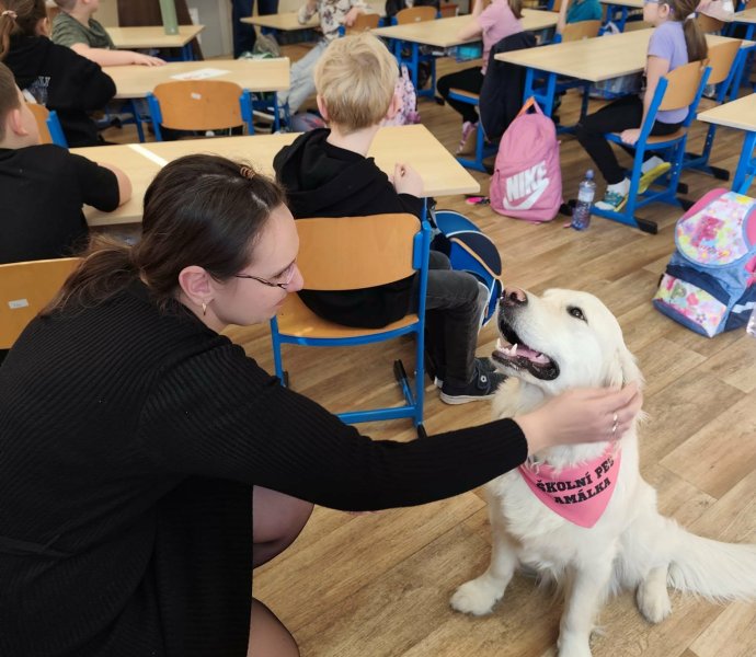 Obrázek galerie 19984