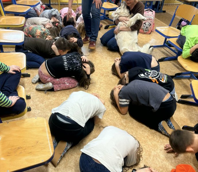 Obrázek galerie 20005