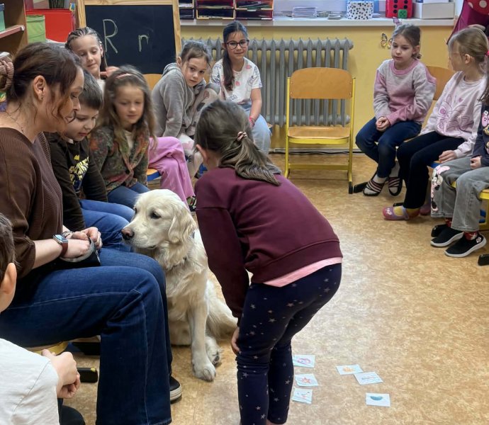 Obrázek galerie 20011