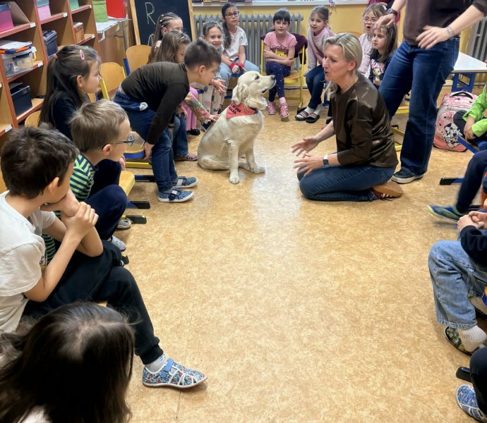 Obrázek galerie 20012