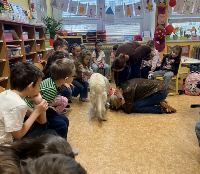 Obrázek galerie 20015