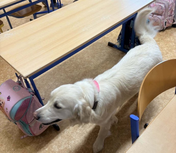 Obrázek galerie 20016