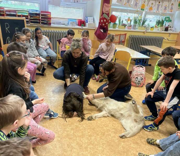 Obrázek galerie 20019