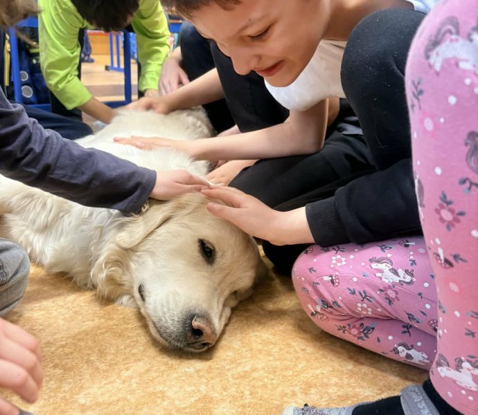 Obrázek galerie 20021