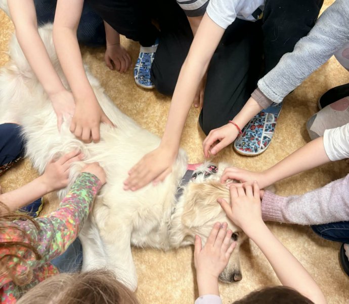 Obrázek galerie 20023