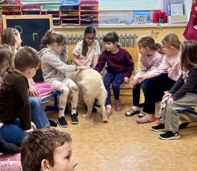 Obrázek galerie 20024