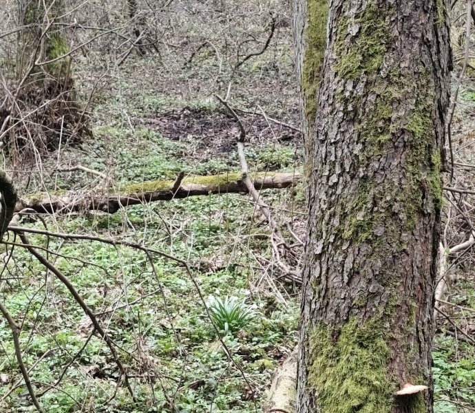 Obrázek galerie 20036