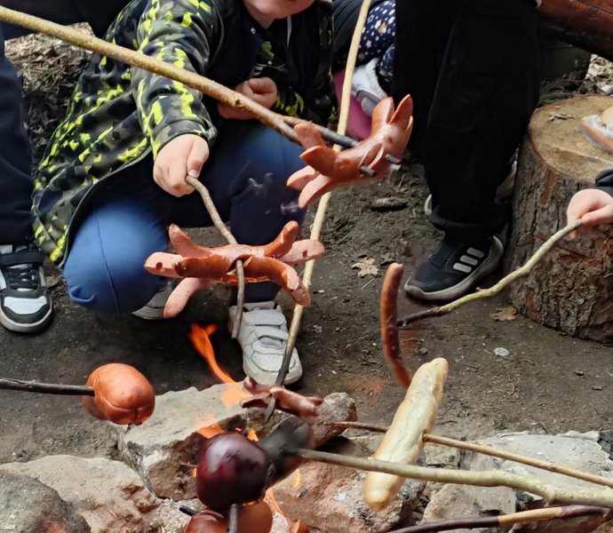 Obrázek galerie 20043