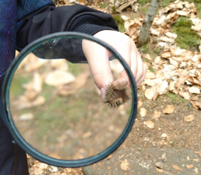 Obrázek galerie 20044