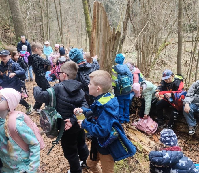 Obrázek galerie 20049