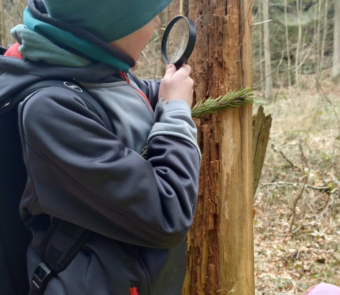 Obrázek galerie 20050