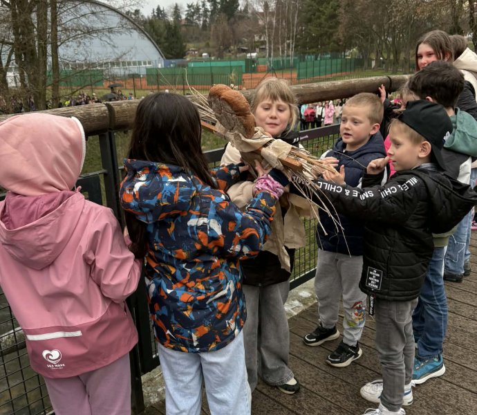 Obrázek galerie 20056