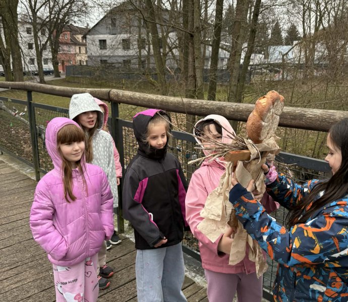 Obrázek galerie 20064