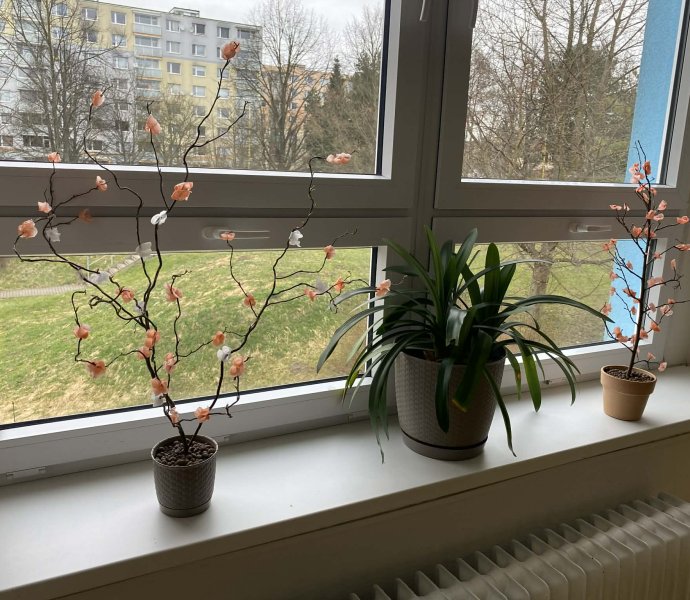 Obrázek galerie 20087