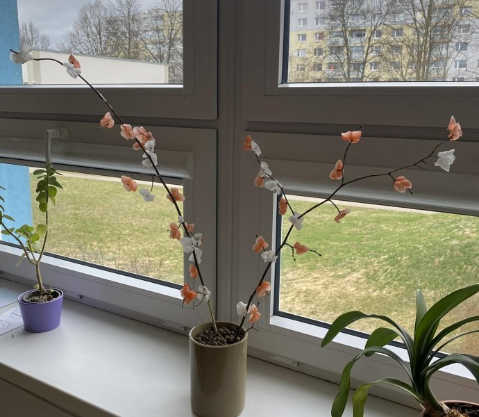 Obrázek galerie 20089