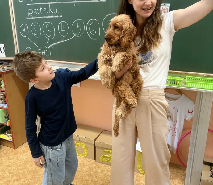 Obrázek galerie 20135