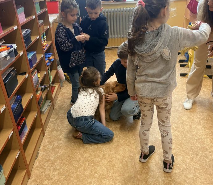 Obrázek galerie 20141