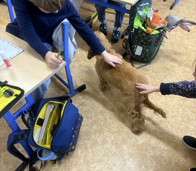 Obrázek galerie 20145